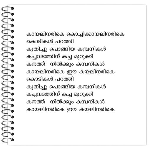 Picture of the product