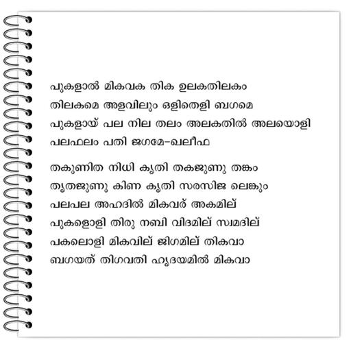 Picture of the product