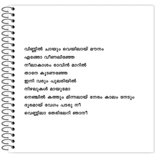 Picture of the product