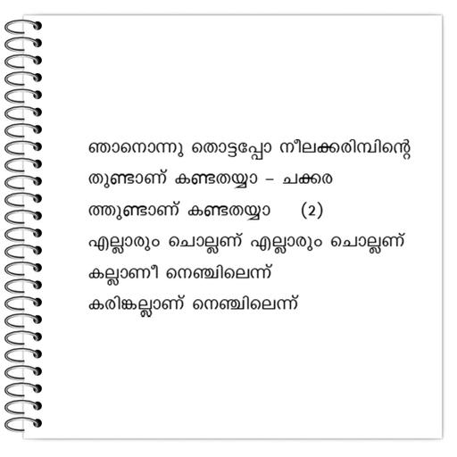 Picture of the product