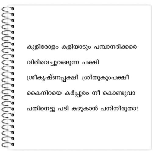 Picture of the product