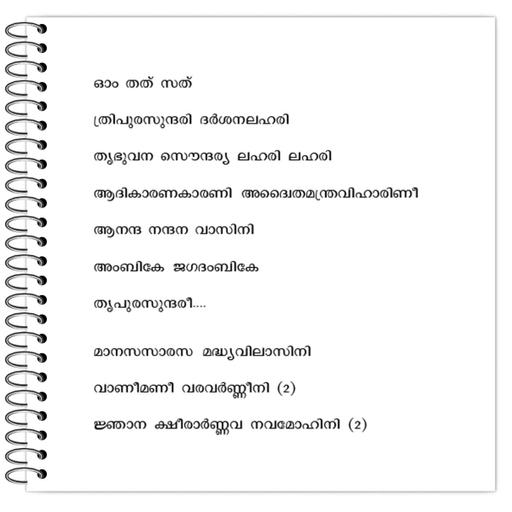 Picture of the product