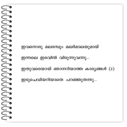 Picture of the product