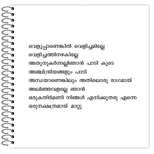 Picture of the product