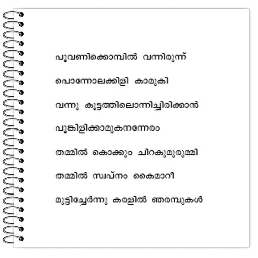 Picture of the product