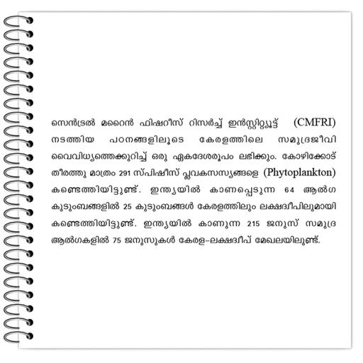 Picture of the product