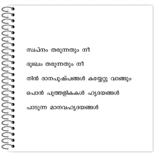 Picture of the product