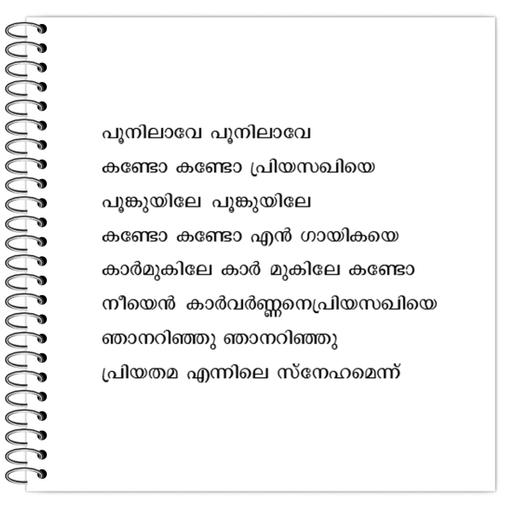 Picture of the product