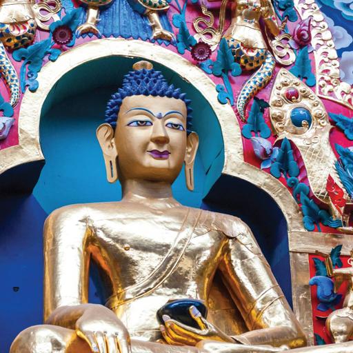 Picture of the product