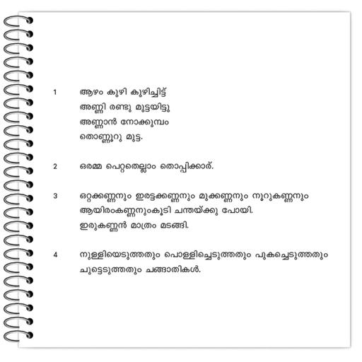 Picture of the product