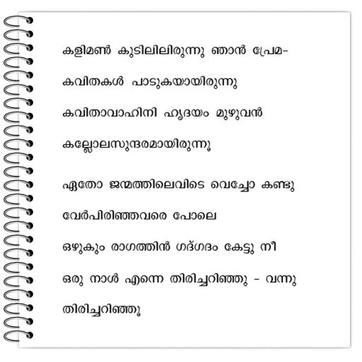 Picture of the product