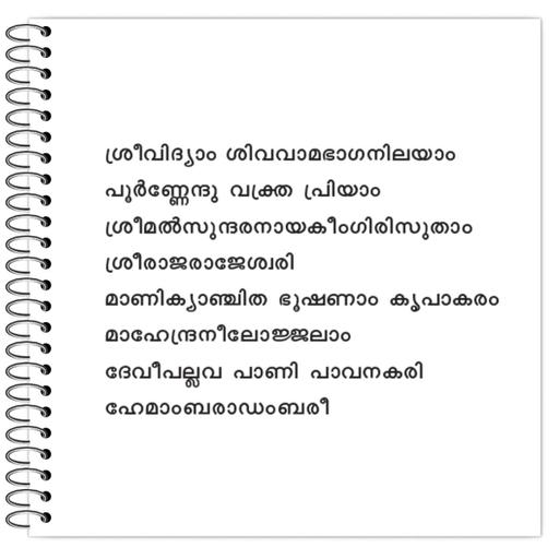 Picture of the product