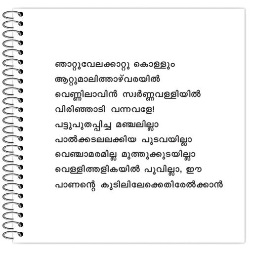 Picture of the product