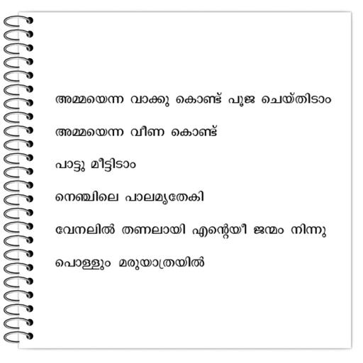 Picture of the product