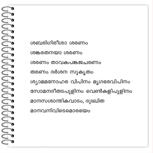 Picture of the product