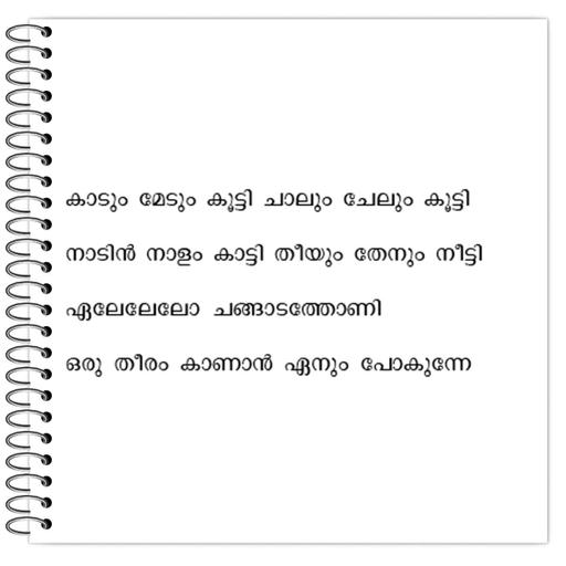 Picture of the product