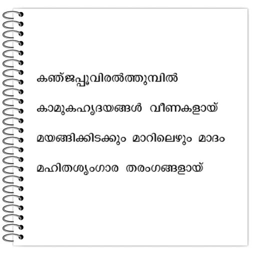 Picture of the product