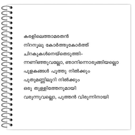 Picture of the product