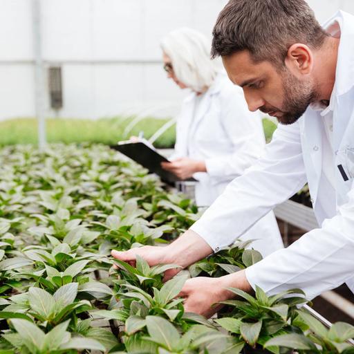 Picture of the product