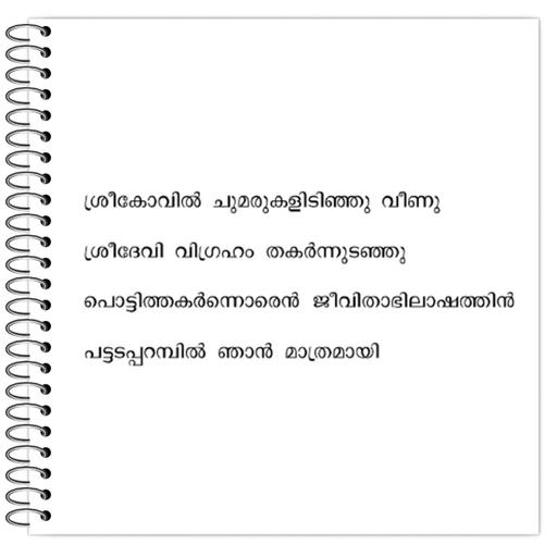 Picture of the product