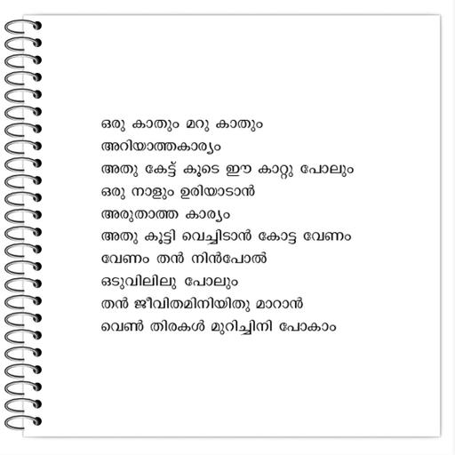 Picture of the product