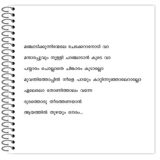 Picture of the product