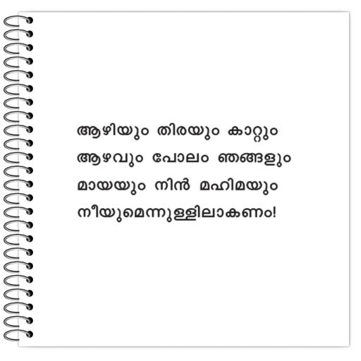 Picture of the product