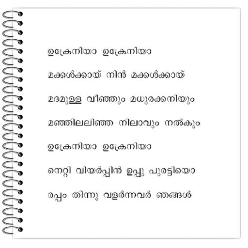 Picture of the product