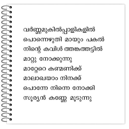 Picture of the product