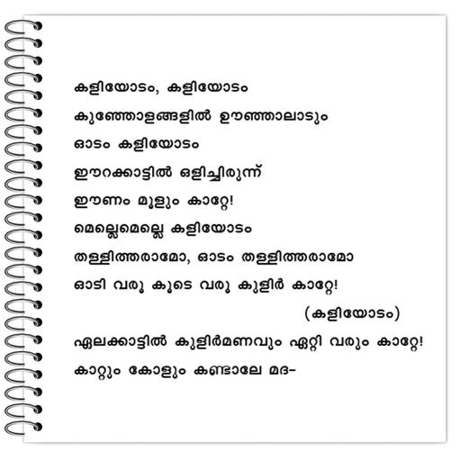 Picture of the product