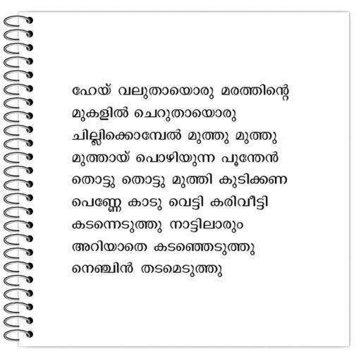 Picture of the product