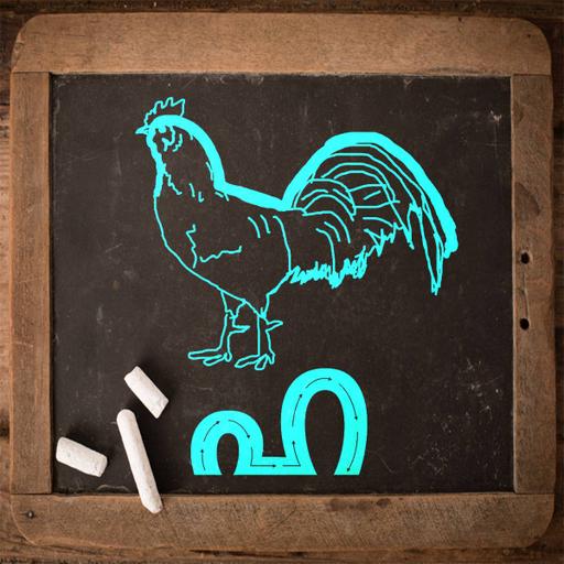 Picture of the product