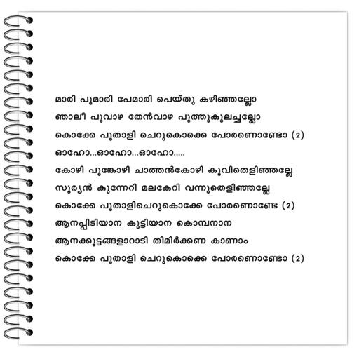 Picture of the product