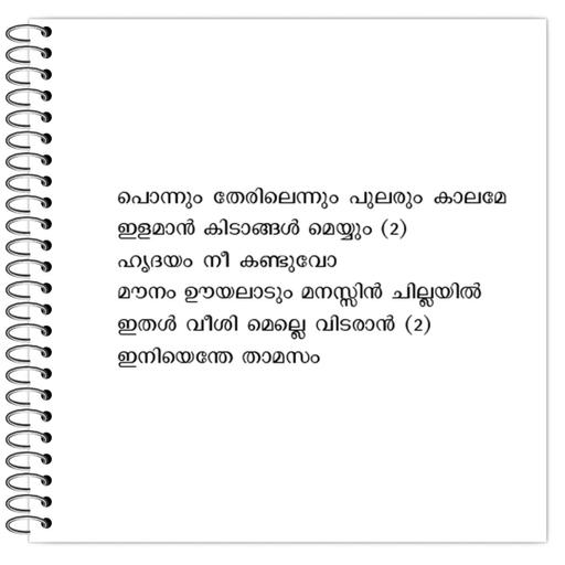 Picture of the product