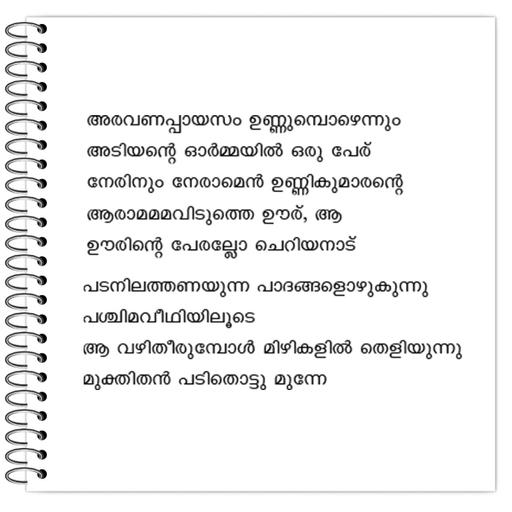 Picture of the product