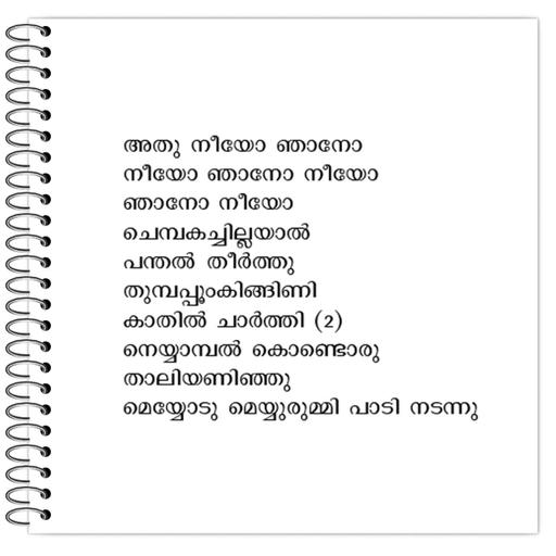 Picture of the product