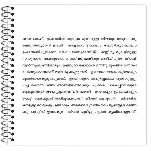 Picture of the product