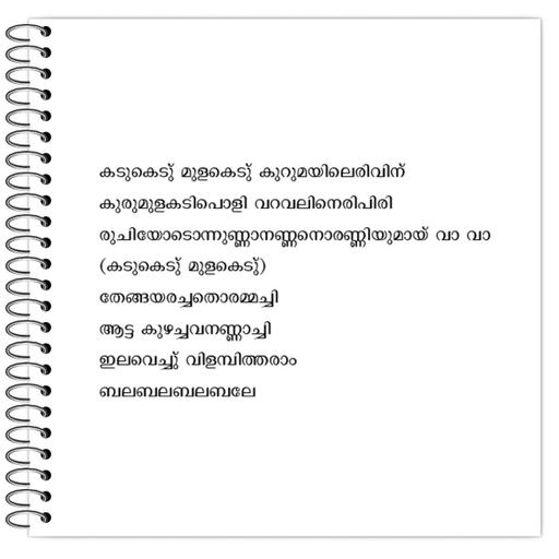 Picture of the product