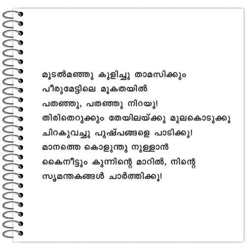 Picture of the product