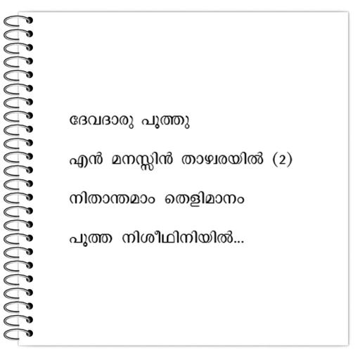 Picture of the product