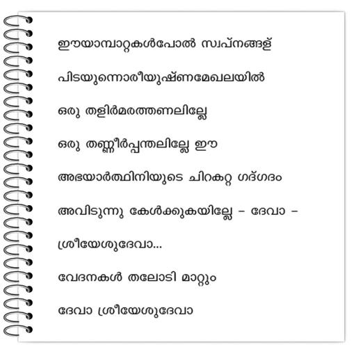 Picture of the product