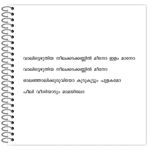 Picture of the product