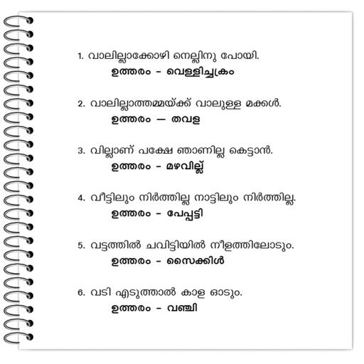 Picture of the product