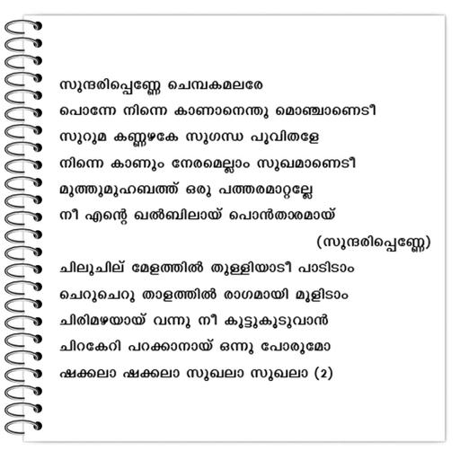 Picture of the product