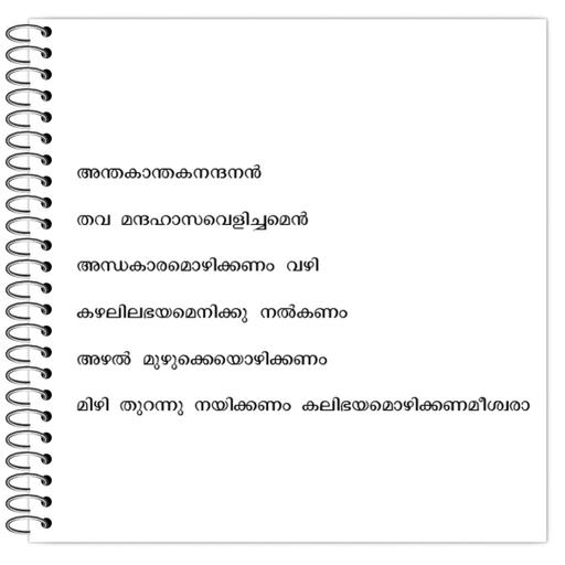 Picture of the product