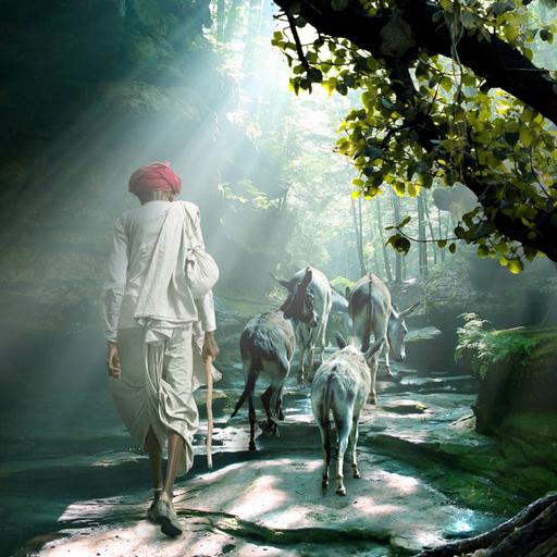 Picture of the product