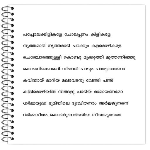 Picture of the product