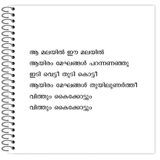 Picture of the product