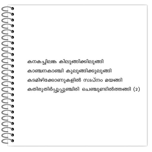 Picture of the product