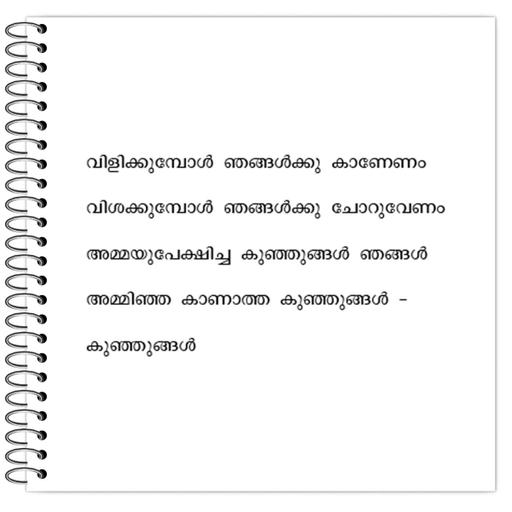 Picture of the product